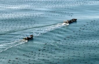 Cina, l’economia marittima segna una crescita costante nel primo semestre