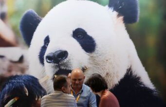 Cina, in aumento dell’11,3% i ricavi dell’industria pubblicitaria