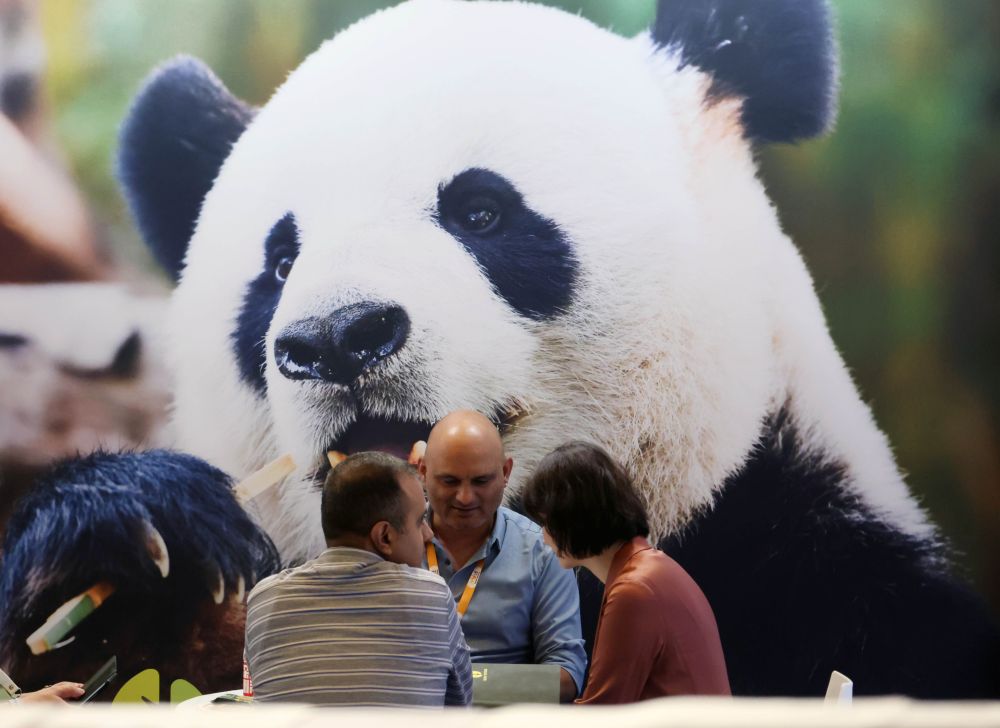 Cina, in aumento dell&rsquo;11,3% i ricavi dell&rsquo;industria pubblicitaria