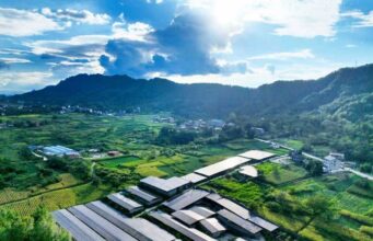 La Cina promuove lo sviluppo di reti elettriche di nuova generazione