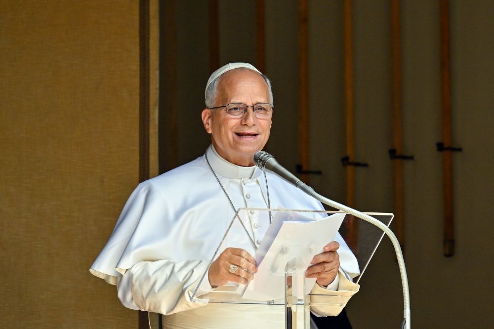 Papa Leone XIV &ldquo;E&rsquo; impossibile considerare normale togliere la vita&rdquo;
