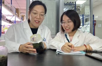 Cina, scoperta la pianta desertica “più resistente” anche nello spazio