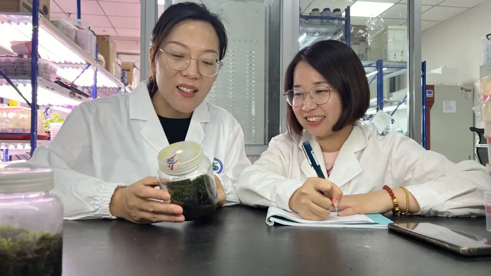 Cina, scoperta la pianta desertica &ldquo;pi&ugrave; resistente&rdquo; anche nello spazio